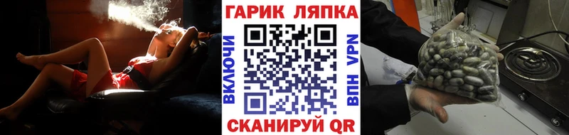 магазин продажи наркотиков  Касли  ГАШ AMNESIA HAZE 