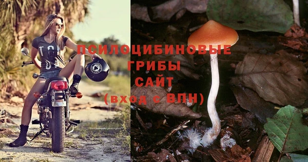 герыч Богородицк