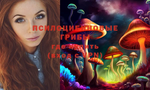 герыч Бронницы
