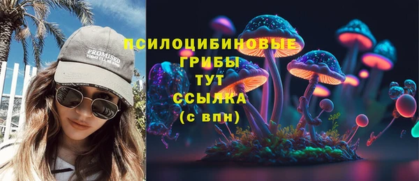 МДМА Бородино