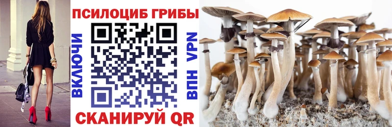 Псилоцибиновые грибы Psilocybe  Касли 